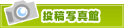 投稿写真館 | タウンガイド静岡